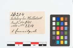 Etikett zu Glasperle (NHMW-PRAE-026204)